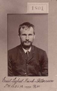 Ernst Sigfrid Reinh. Pettersson